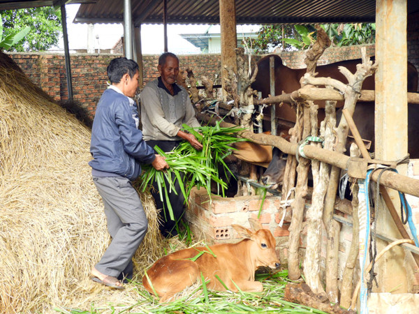 Cán bộ xã Ia Sao hướng dẫn nông dân sản xuất. Ảnh: T.N