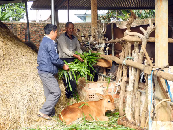 Cán bộ xã Ia Sao hướng dẫn nông dân sản xuất. Ảnh: T.N