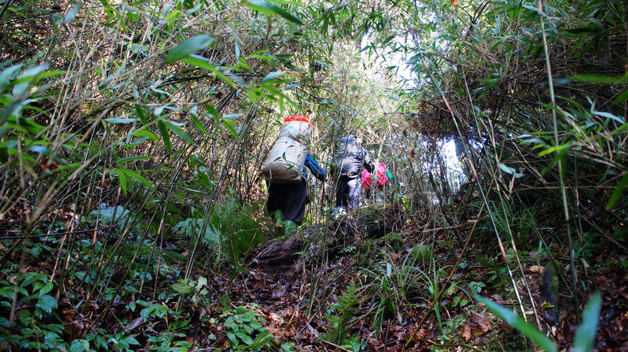 Leo núi băng qua những khu rừng rậm - Ảnh: NGUYỄN VĂN DUY