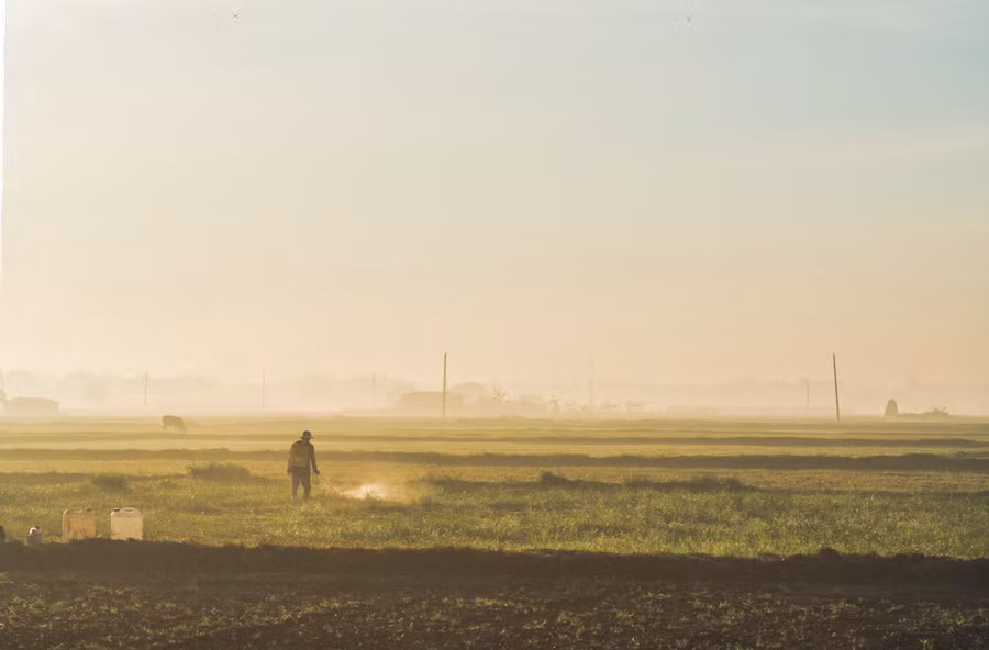 Người nông dân ra đồng buổi sớm mai ở Hóc Môn - Ảnh: Võ Hùng Mạnh