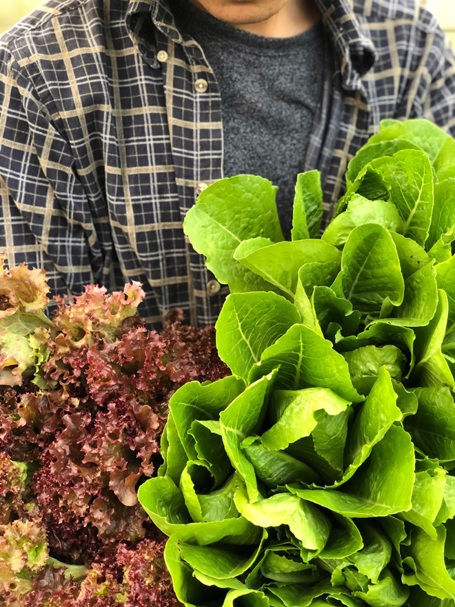 Không gì vui hơn khi thấy đứa con tinh thần xanh tốt mỗi ngày Ảnh: XUÂN TRƯỜNG