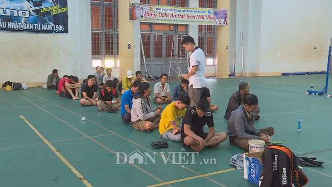 Hầu hết các đối tượng đều sinh sống trên địa bàn tỉnh Đắk Lắk.