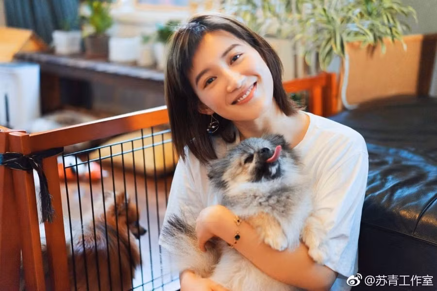 Sở hữu nhan sắc trong trẻo, nữ tính, trước “Diên hi công lược“, Tô Thanh thường gắn bó với những vai diễn nhẹ nhàng, hiền lành. Ảnh: Weibo