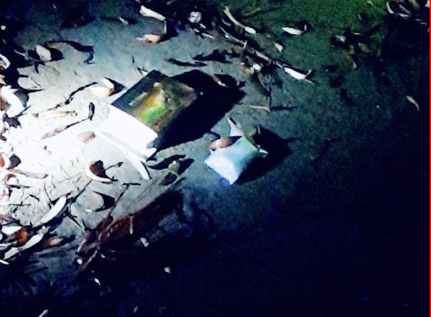 Tang vật thu được ẢNH: CÔNG AN CUNG CẤP