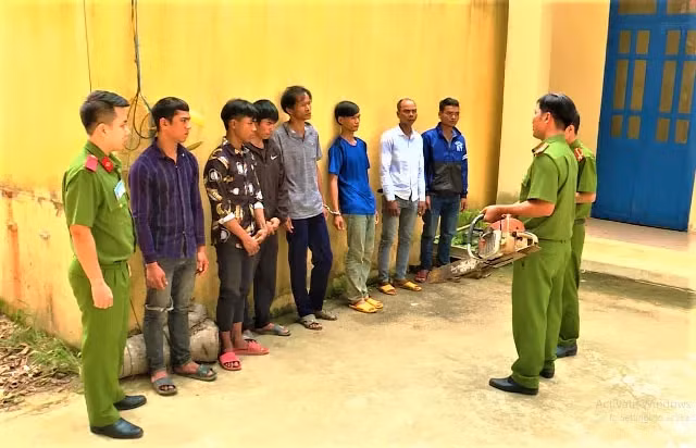 Các đối tượng khai thác rừng trái phép bị Công an huyện Krông Bông bắt giữ.