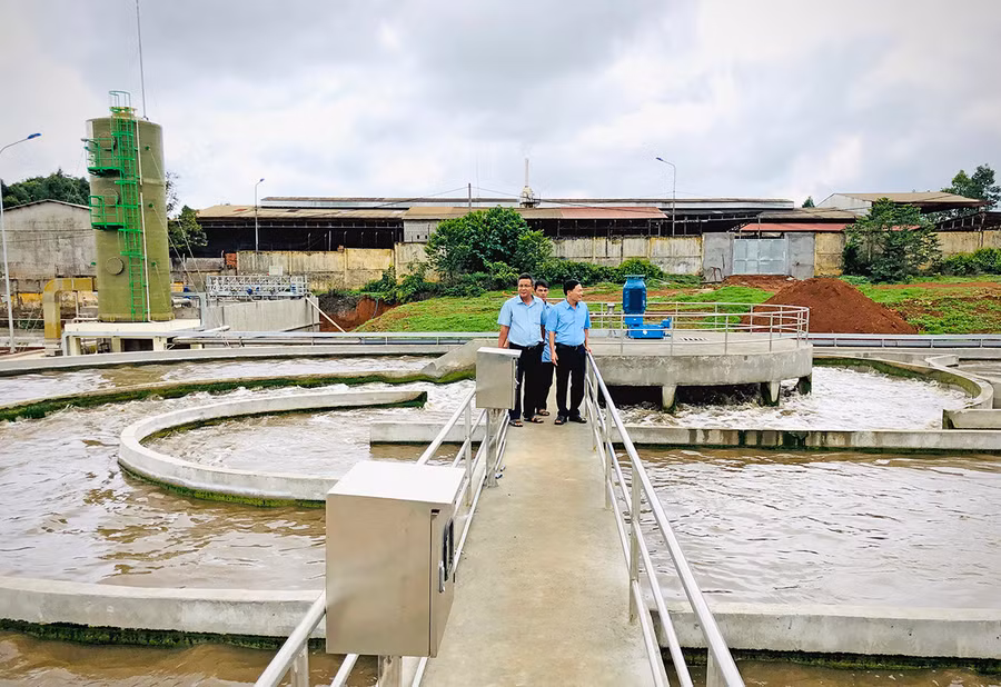  Khu vực xử lý nước thải của Công ty TNHH một thành viên Cao su Chư Prông được áp dụng công nghệ hiếu khí. Ảnh: L.H