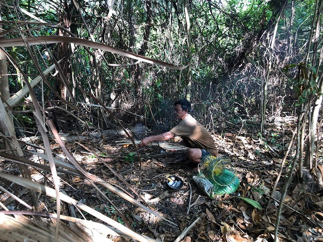 Ông Hơn đốt lửa đuổi ong khỏi tổ để lấy mật