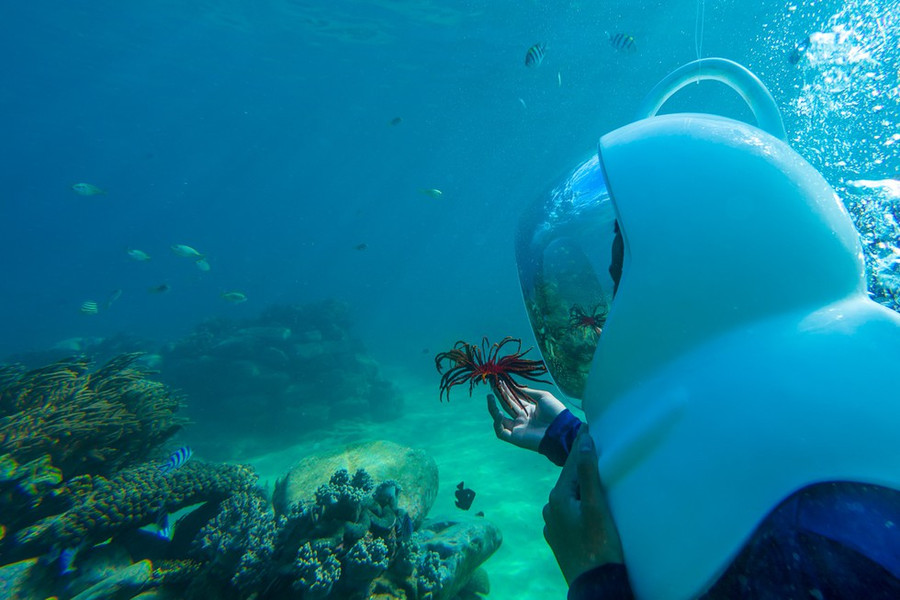 Lặn ngắm san hô Kỳ Co