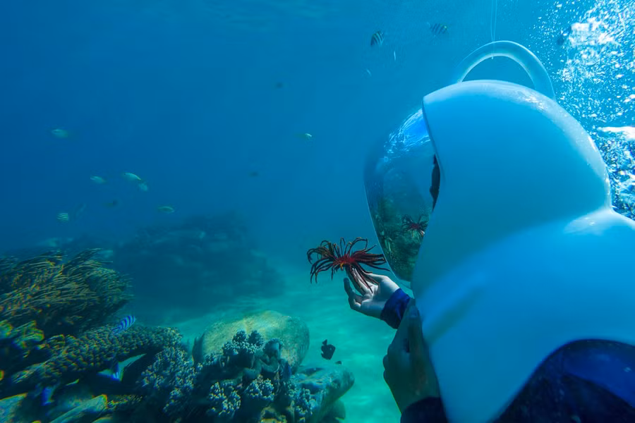 Lặn ngắm san hô Kỳ Co