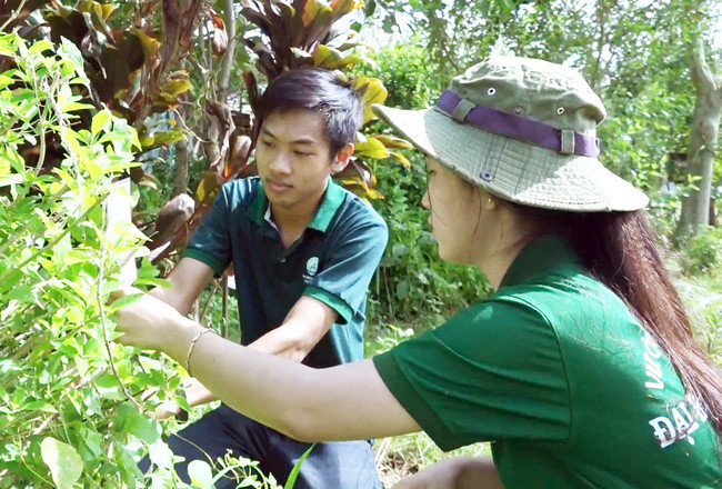Bạn Thuận ấp ủ ý tưởng xây dựng vườn thuốc nam này từ khá lâu. Ảnh: M.A.