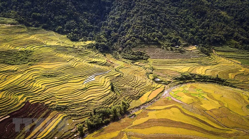 Vẻ đẹp của ruộng bậc thang tại xã Thạch Yên, huyện Cao Phong hứa hẹn sẽ là một tiềm lực lớn để cho xã Thạch Yên đặt mục tiêu thúc đẩy phát triển du lịch tại địa phương mạnh mẽ. (Ảnh: Trọng Đạt/TTXVN)