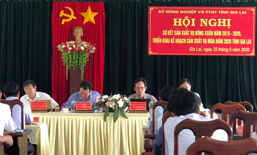 Hội nghị sơ kết vụ Đông Xuân 2019-2020 và triển khai kế hoạch vụ mùa 2020. Ảnh: Lê Nam