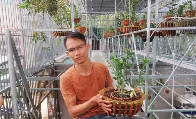Anh Hậu bên một chậu phong lan giả hạc đột biến 5 cánh trắng Phú Thọ có giá khoảng 300 triệu đồng của mình.