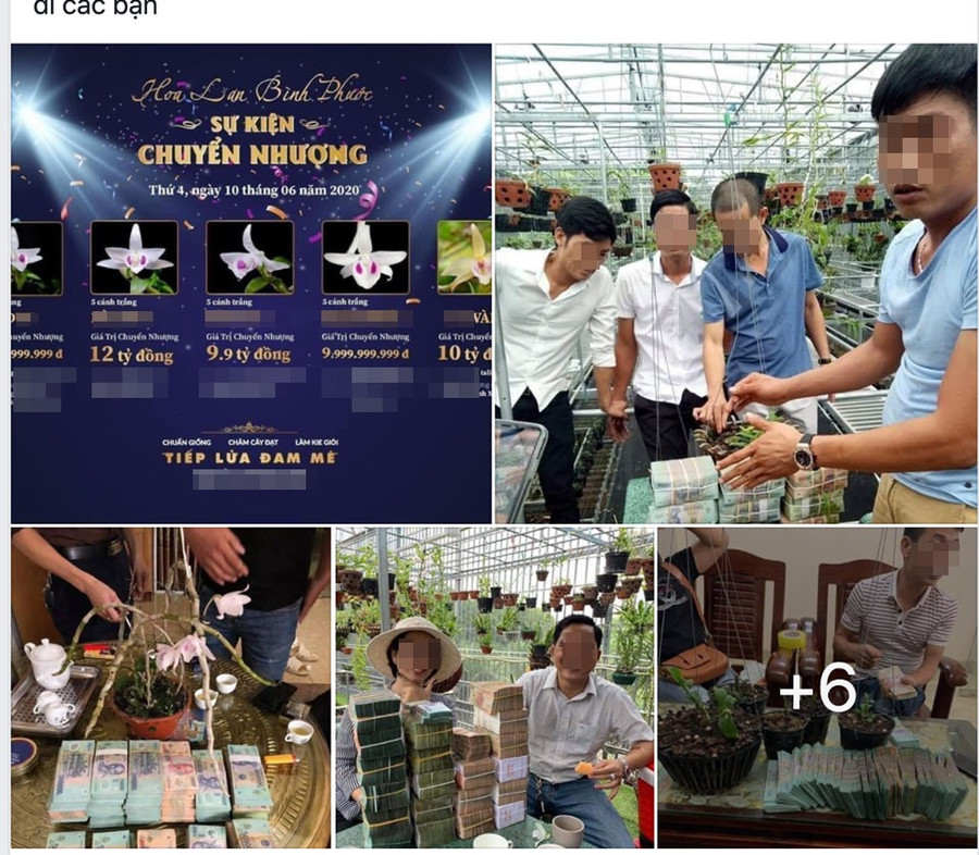 Đây là hình ảnh được đăng tải trên một diễn đàn người chơi lan. Theo đó, chỉ trong một buổi giao dịch, số tiền cho 5 giò lan đột biến đã lên tới hàng chục tỉ đồng. Đây là hình ảnh được đăng tải trên một diễn đàn người chơi lan. Theo đó, chỉ trong một buổi giao dịch, số tiền cho 5 giò lan đột biến đã lên tới hàng chục tỉ đồng.