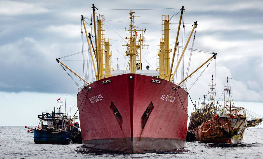 Các tàu đánh bắt bất hợp pháp chuyển thủy sản lên tàu đông lạnh (giữa) và tiếp tục đánh bắt dài ngày trên biển - Ảnh: Simon Ager