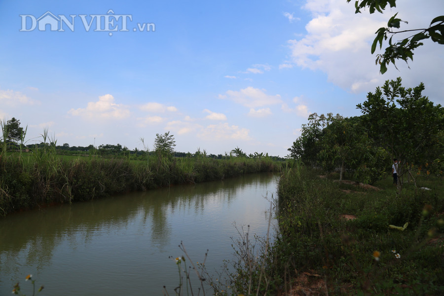 Trong khuôn viên trang trại, Ngô Đình Tuấn còn đào ao thả cá và lấy nước tưới cho vườn cây ăn quả...