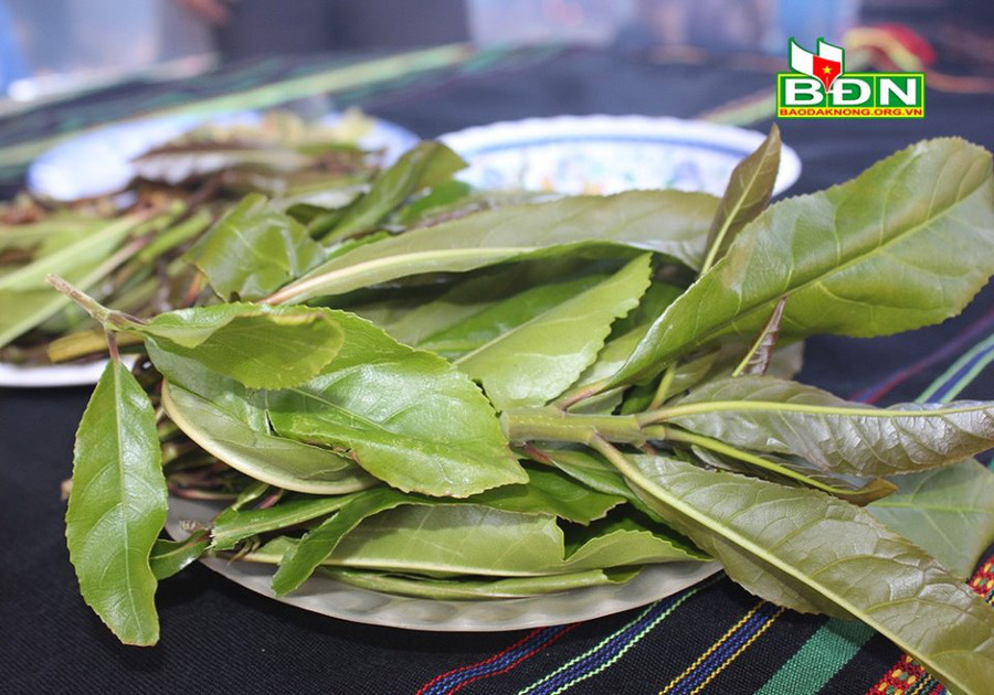 Lá lộc vừng ăn kèm cá nướng