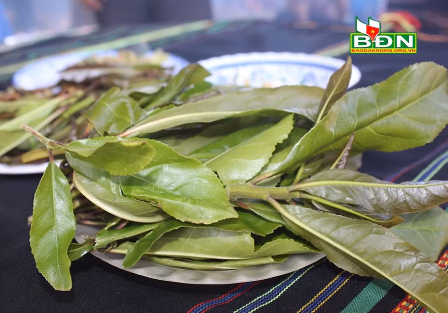 Lá lộc vừng ăn kèm cá nướng