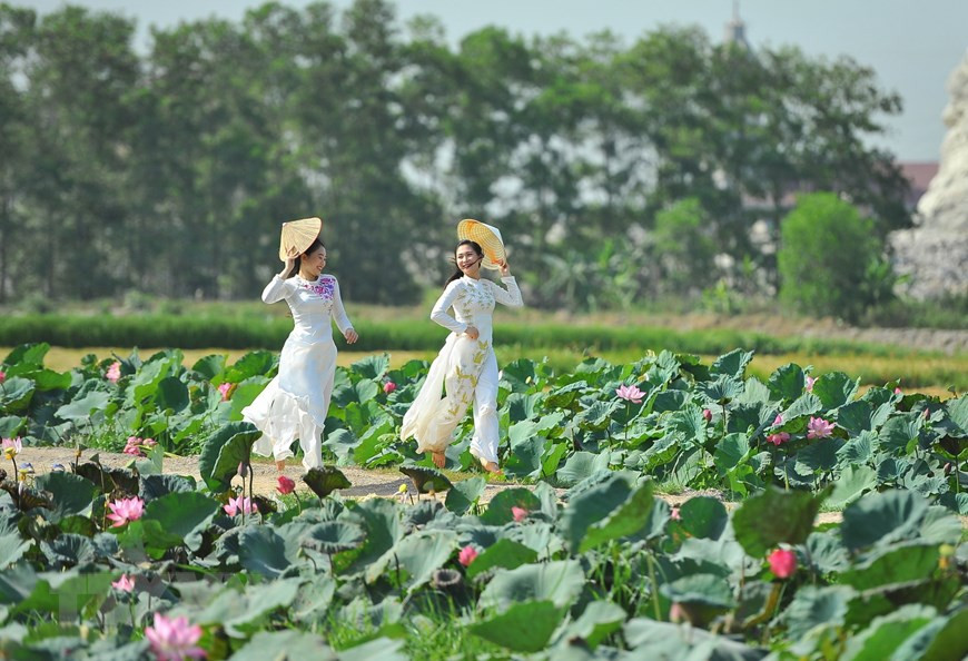 Thiếu nữ bên sen. (Ảnh: Minh Đức/TTXVN)