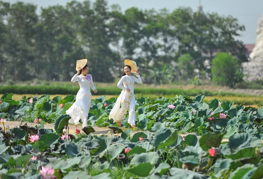 Thiếu nữ bên sen. (Ảnh: Minh Đức/TTXVN)