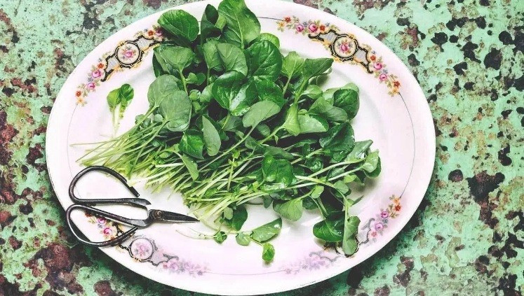 Ảnh Healthline Ảnh Healthline