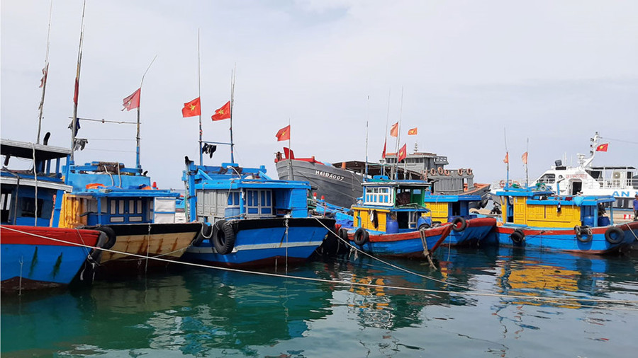 Lý Sơn rộng khoảng 10 km2, gồm 3 cụm là đảo Lớn có tên cũ là Cù Lao Ré, phía bắc là đảo Bé nhỏ như lòng bàn tay và hòn Mù Cu nằm phía đông.