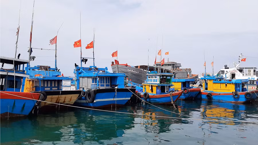 Lý Sơn rộng khoảng 10 km2, gồm 3 cụm là đảo Lớn có tên cũ là Cù Lao Ré, phía bắc là đảo Bé nhỏ như lòng bàn tay và hòn Mù Cu nằm phía đông.