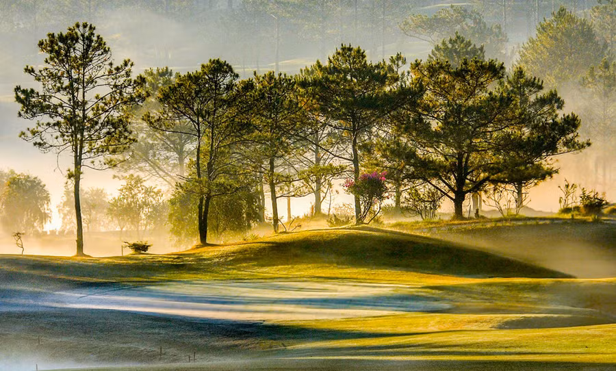 Đồi Cù Đà Lạt đẹp hư ảo