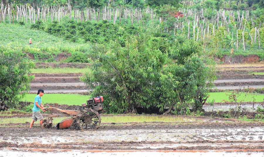Người dân chuẩn bị đất để sản xuất vụ mùa 2020. Ảnh: Lê Nam