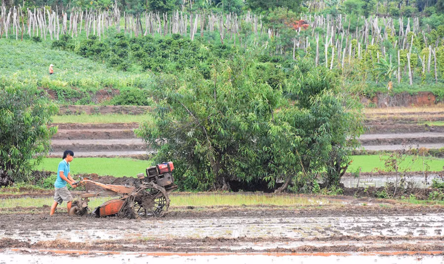 Người dân chuẩn bị đất để sản xuất vụ mùa 2020. Ảnh: Lê Nam