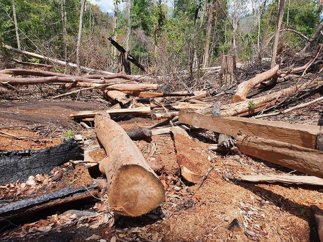 Ảnh minh họa: Internet