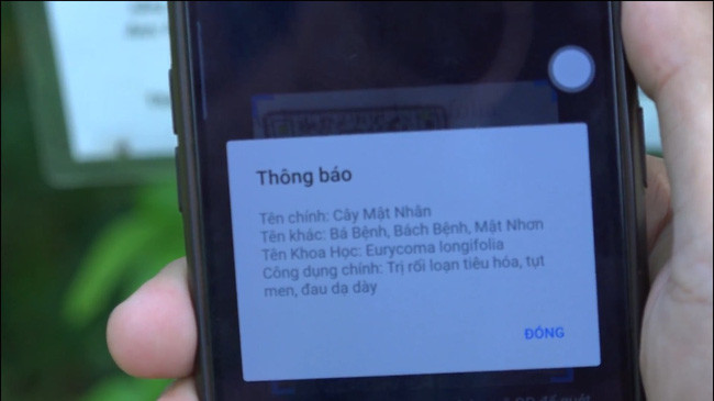 Các thông tin về cây dược liệu được hiện thị rất rõ ràng. Ảnh: M.A