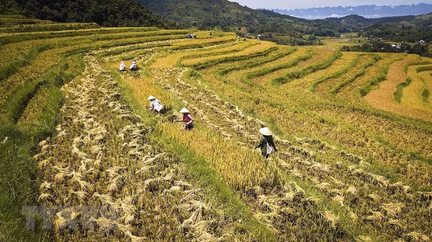 Xã Thạch Yên là xã vùng cao 135 có nhiều khó khăn của huyện Cao Phong, tỉnh Hòa Bình, có điều kiện khí hậu, đất đai phù hợp cho phát triển nông nghiệp với những cánh đồng ruộng bậc thang trải dài cùng nhiều tài nguyên khác để phát triển du lịch sinh thái, lịch sử-tâm linh và du lịch cộng đồng. (Ảnh: Trọng Đạt/TTXVN)