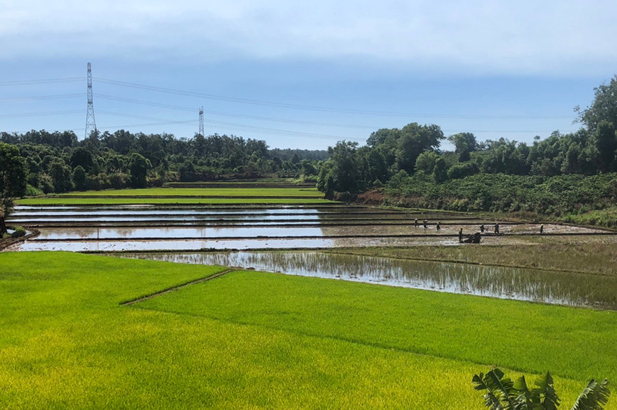 Ngay sau khi thu hoạch vụ Đông Xuân, người dân bắt tay vào cày đất, phơi ải chuẩn bị gieo sạ vụ mùa 2020. Ảnh: Quang Tấn 2Ngay sau khi thu hoạch vụ Đông Xuân, người dân bắt tay vào cày đất, phơi ải chuẩn bị gieo sạ vụ mùa 2020