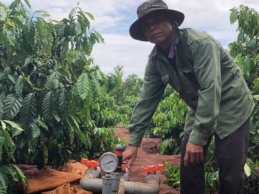 Ông Hyur mở hệ thống tưới tiết kiệm phun mưa tại gốc. Ảnh: Lê Nam 2Ông Hyur mở hệ thống tưới tiết kiệm phun mưa tại gốc