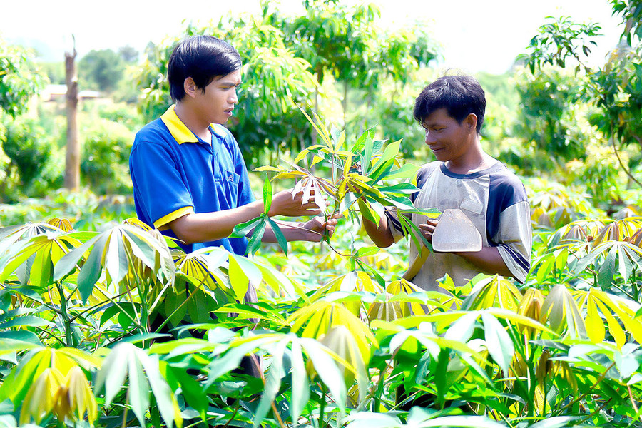 Nhờ các chương trình hỗ trợ của Nhà nước, nhiều hộ đồng bào dân tộc thiểu số đã có điều kiện phát triển sản xuất, từng bước vươn lên thoát nghèo. Ảnh: ĐỨC THỤY