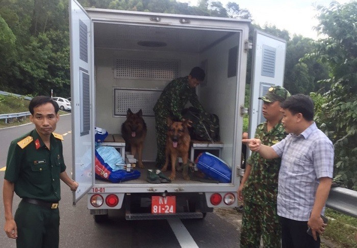  Chó nghiệp vụ được đưa vào rừng để truy bắt Sự. Ảnh: CSGT