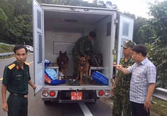  Chó nghiệp vụ được đưa vào rừng để truy bắt Sự. Ảnh: CSGT