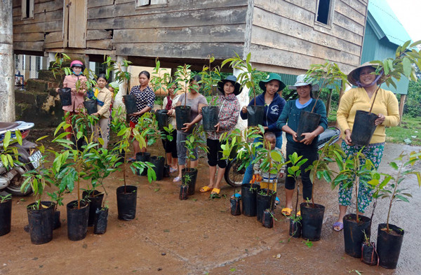 Hỗ trợ cây giống cho phụ nữ nghèo tại làng Bàng (xã Ia Nhin, huyện Chư Pah). Ảnh: H.P