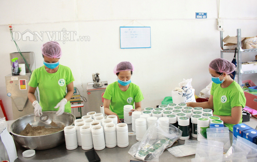 Công ty TNHH SN & TM Long Liên tạo được nhiều lao động địa phương có thu nhập ổn định. Ảnh: PV