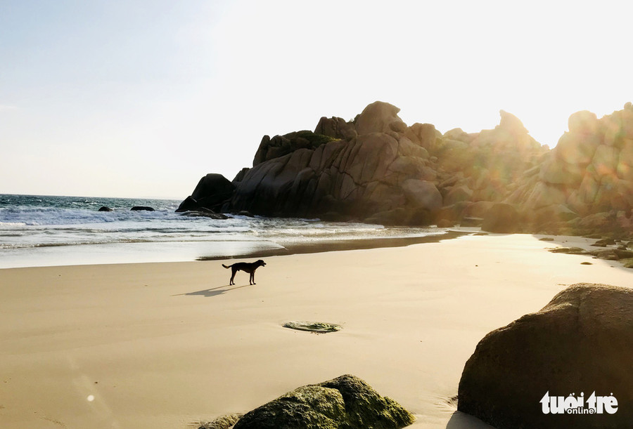  Khung cảnh hoàng hôn mênh mông và hữu tình tại Cù Lao Câu - Ảnh: DUYÊN PHAN