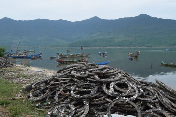 Hệ thống đầm phá giữa nước lợ và nước mặn tại Lăng Cô là ngư trường để người nuôi các loài hải sản như hàu, tôm, cua, sò huyết...