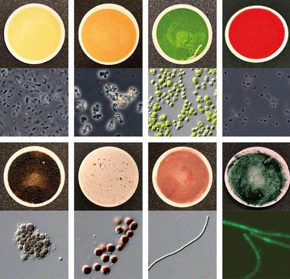 Thách thức chính