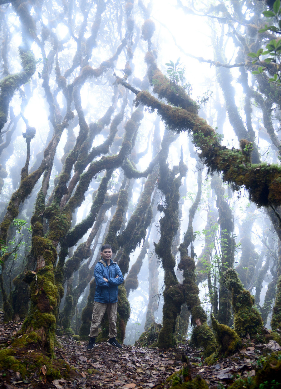 Tác giả đứng dưới những 