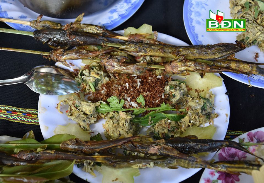 Cá suối nướng ăn kèm kiến vàng