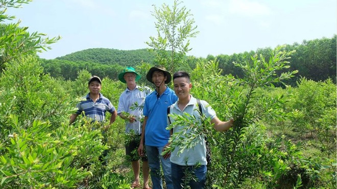 Chuyên gia nước ngoài (giữa) cùng một số thành viên của công ty tại vùng nguyên liệu tràm ở TX.Hương Thủy Ảnh: NVCC Chuyên gia nước ngoài (giữa) cùng một số thành viên của công ty tại vùng nguyên liệu tràm ở TX.Hương Thủy Ảnh: NVCC