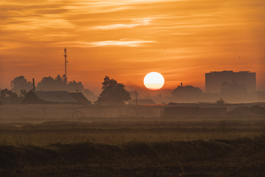 Một bức ảnh chụp 