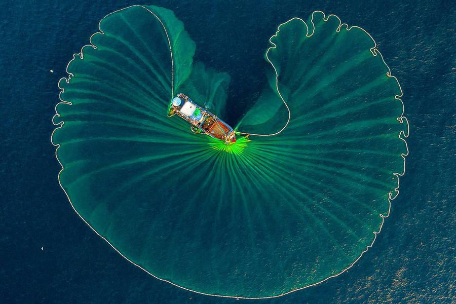 Đánh bắt cá ở Quy Nhơn