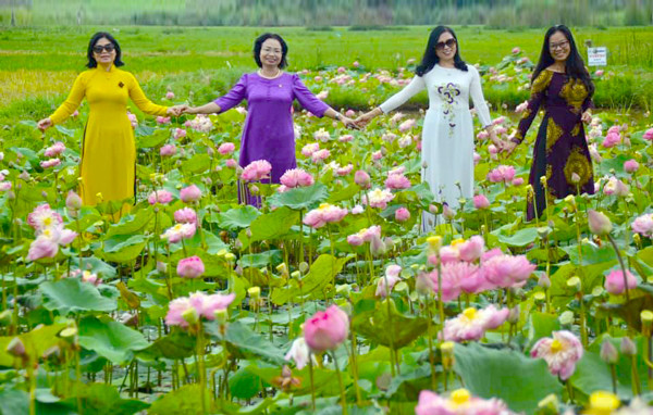 Du khách chụp ảnh lưu niệm bên hồ sen ở phường Hoa Lư (TP. Pleiku). Ảnh: N.T.D