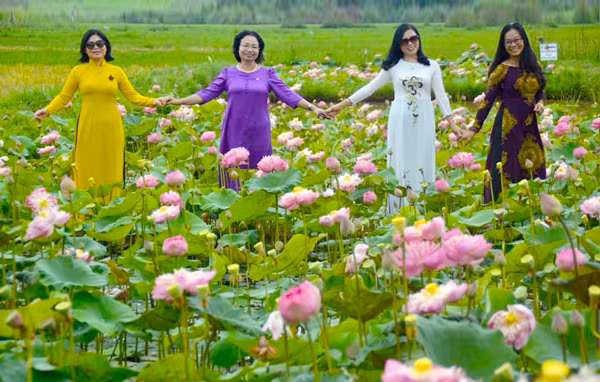 Du khách chụp ảnh lưu niệm bên hồ sen ở phường Hoa Lư (TP. Pleiku). Ảnh: N.T.D